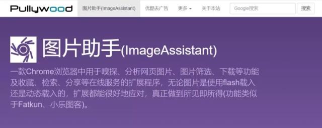 谷歌超强免费插件！一键下载上千张图片，网友：解放双手了！