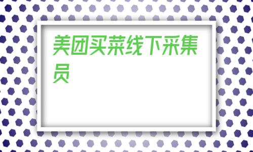 美团买菜线下采集员_美团信息采集员怎么做 第1张