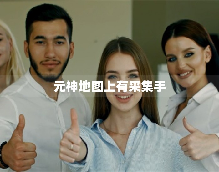 元神地图上有采集手 第1张