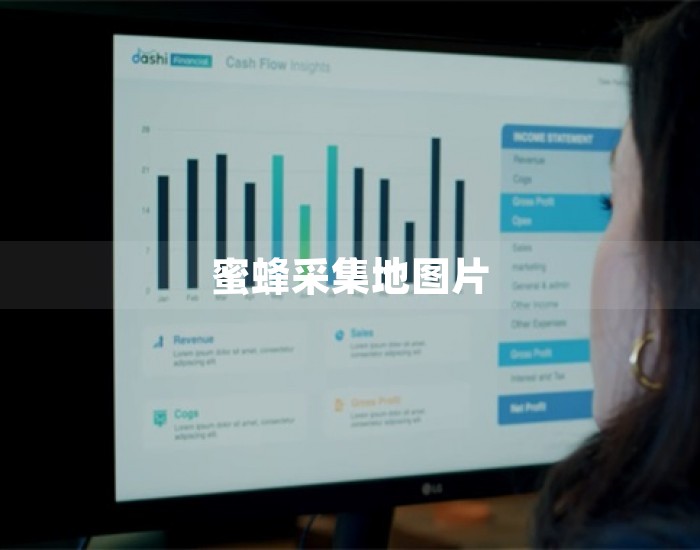 蜜蜂采集地图片